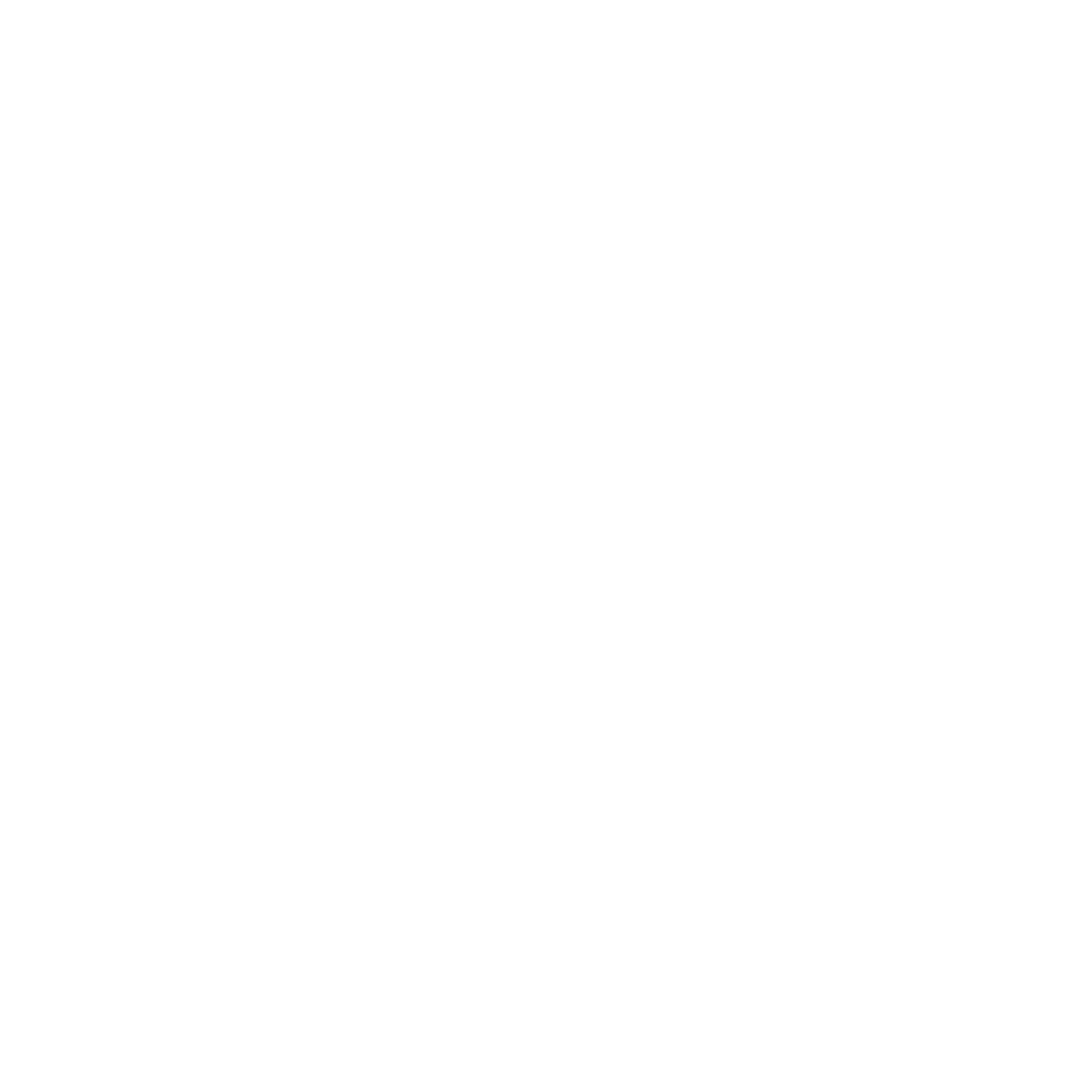 Fullmetal Alchemist