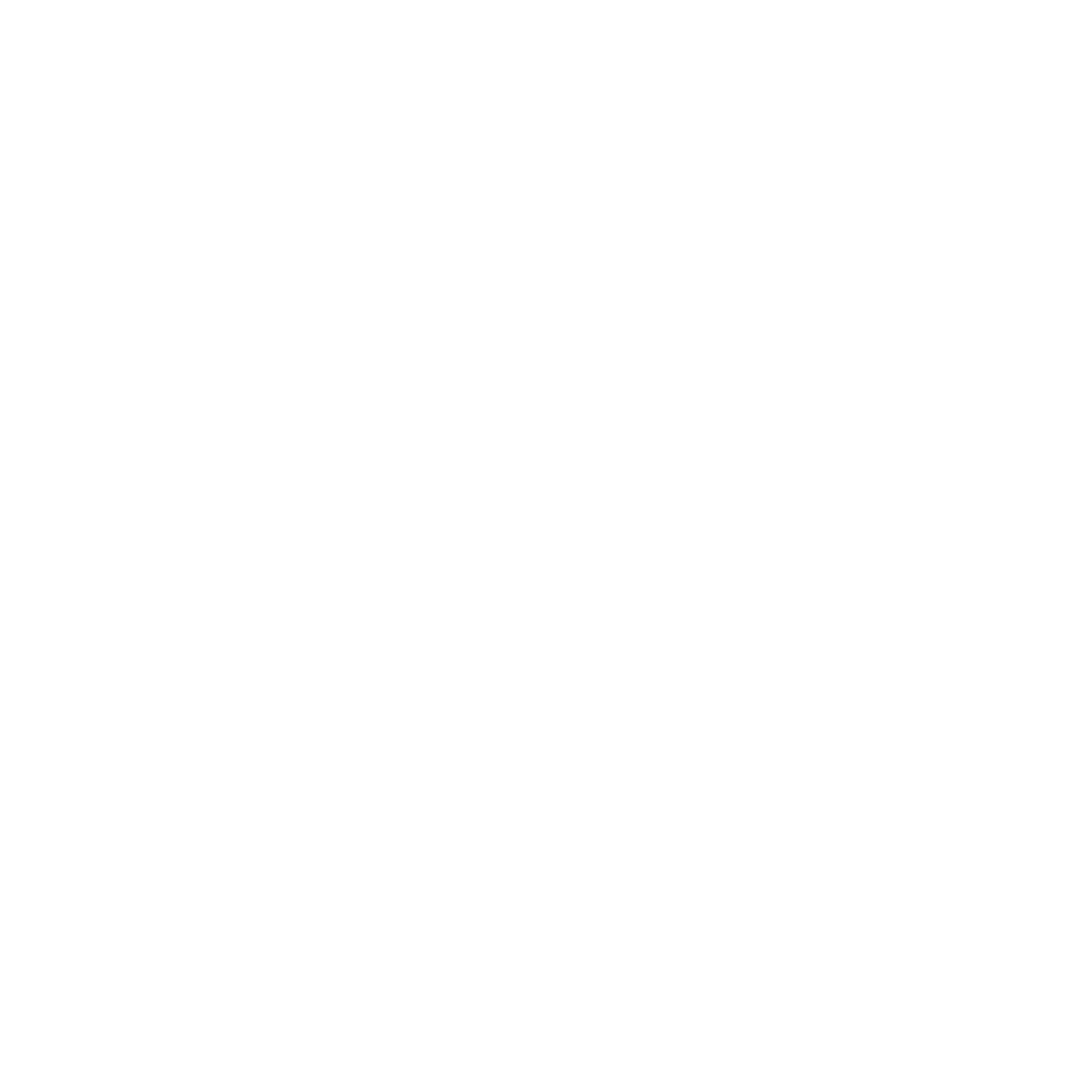Fairy Tail